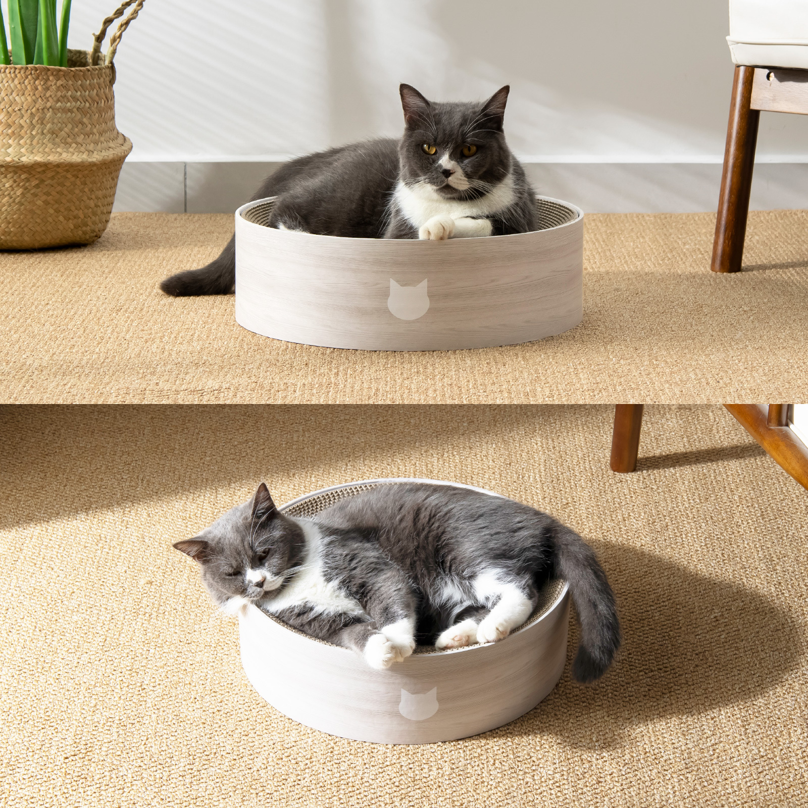 バリバリボウルXL ナチュラル大きな猫ものびのび 寝てよし、研いでよし