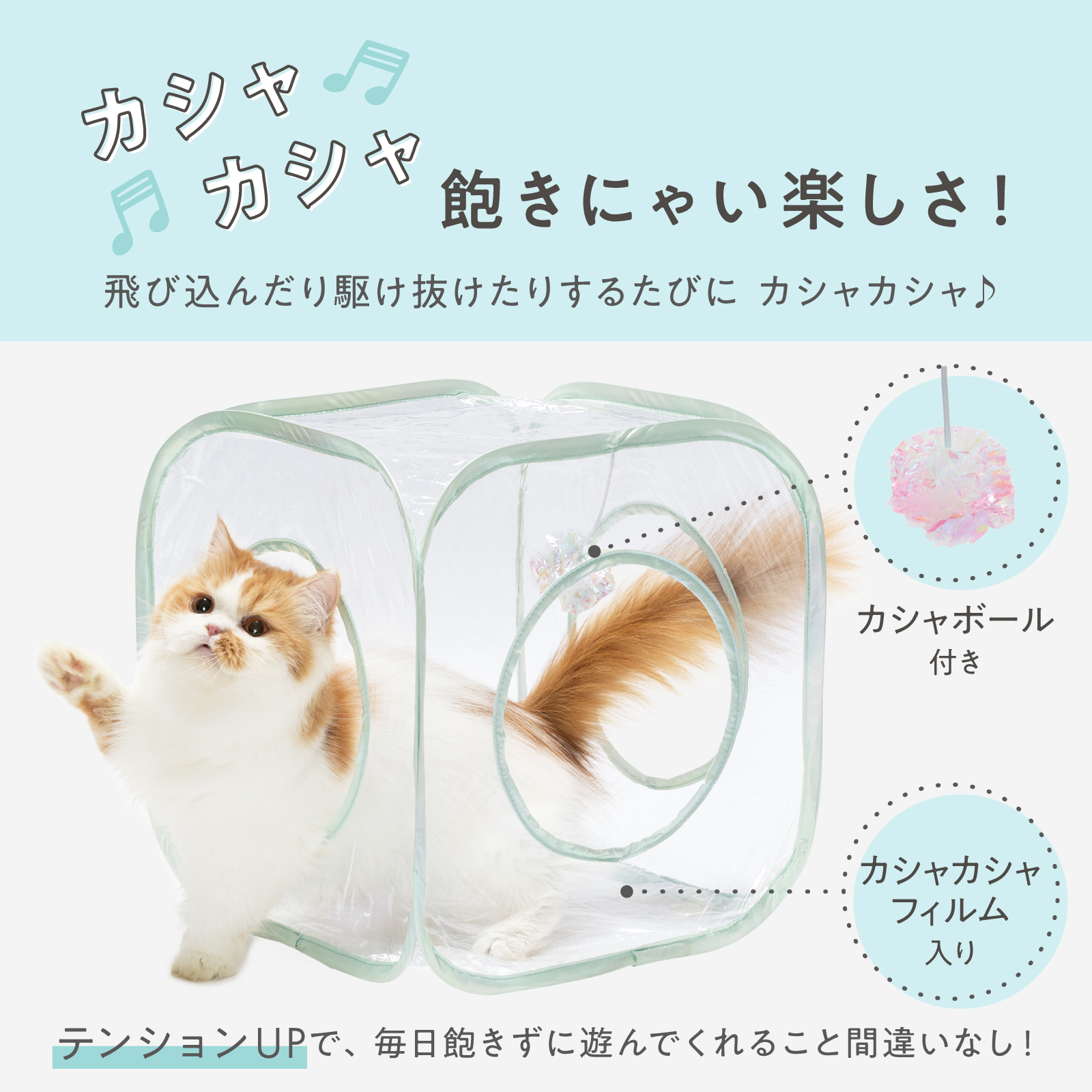 ＜猫壱＞猫用おもちゃ　キャットプレイキューブ クリア