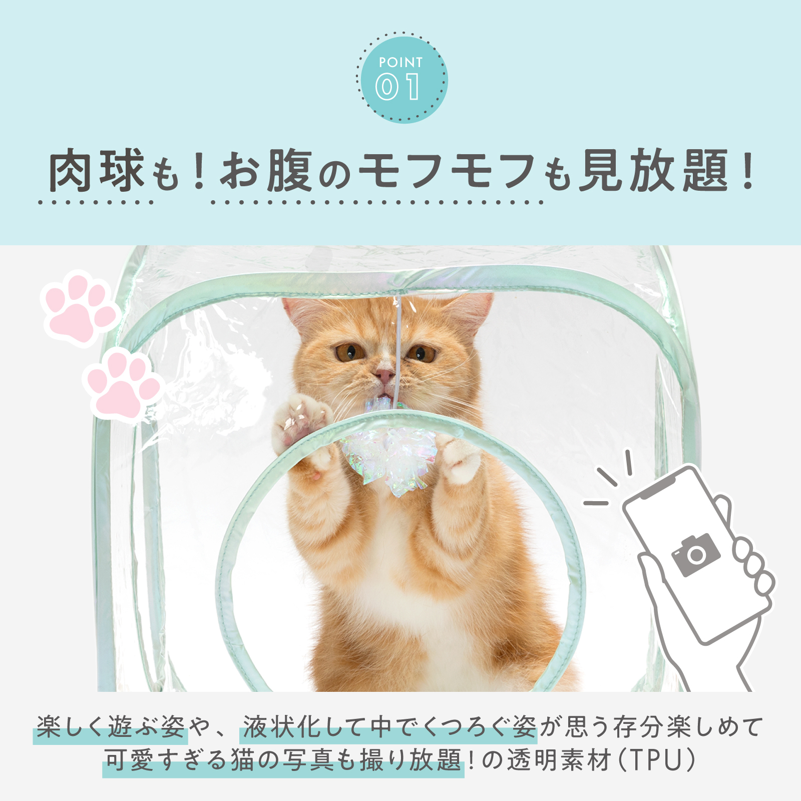 ＜猫壱＞猫用おもちゃ　キャットプレイキューブ クリア