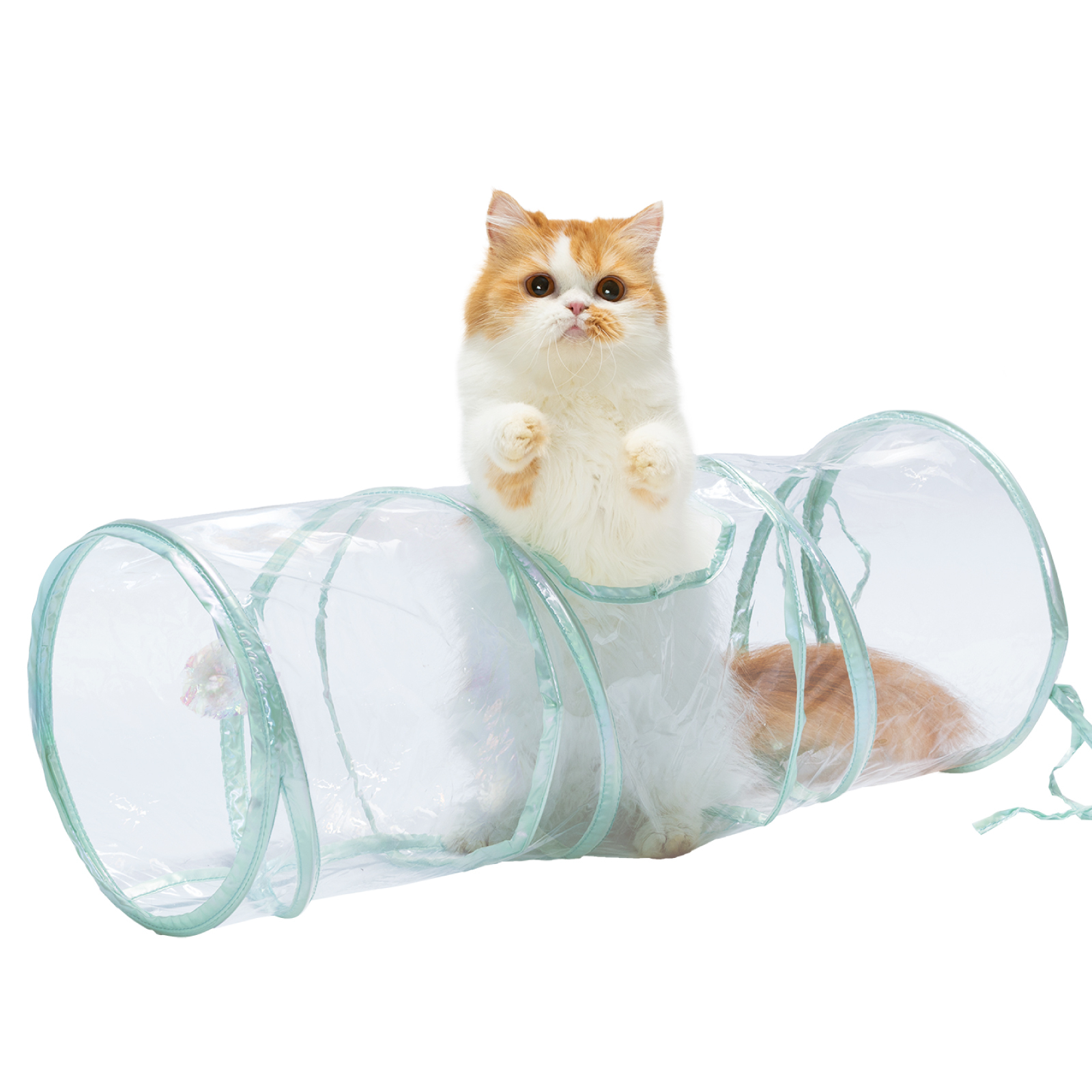 キャットトンネル　クリア&lt;br&gt;&lt;p style=&quot;font-size:75%;&quot;&gt;毎日飽きずに遊びます！&lt;/p&gt;