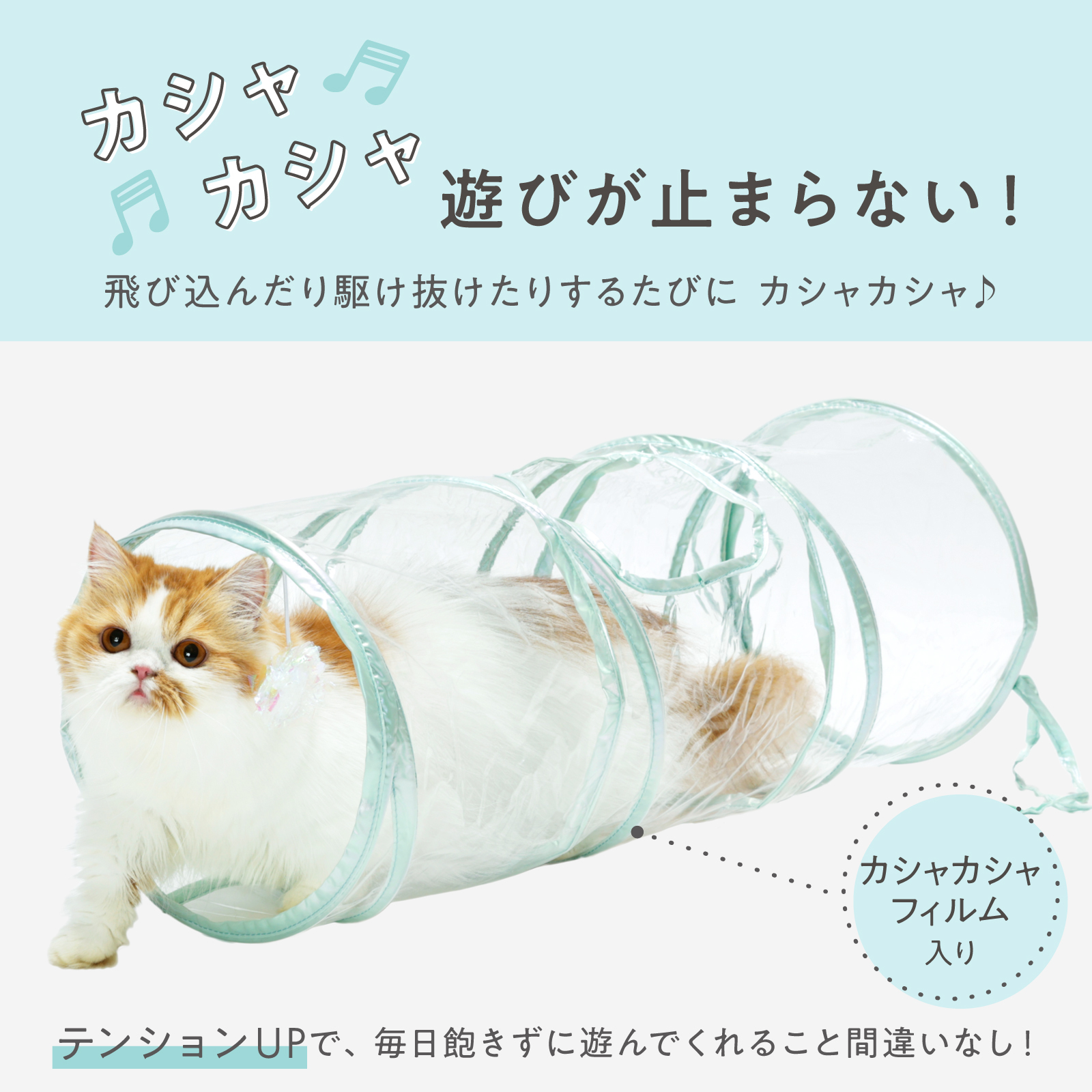 ＜猫壱＞猫用おもちゃ　キャットトンネル　クリア