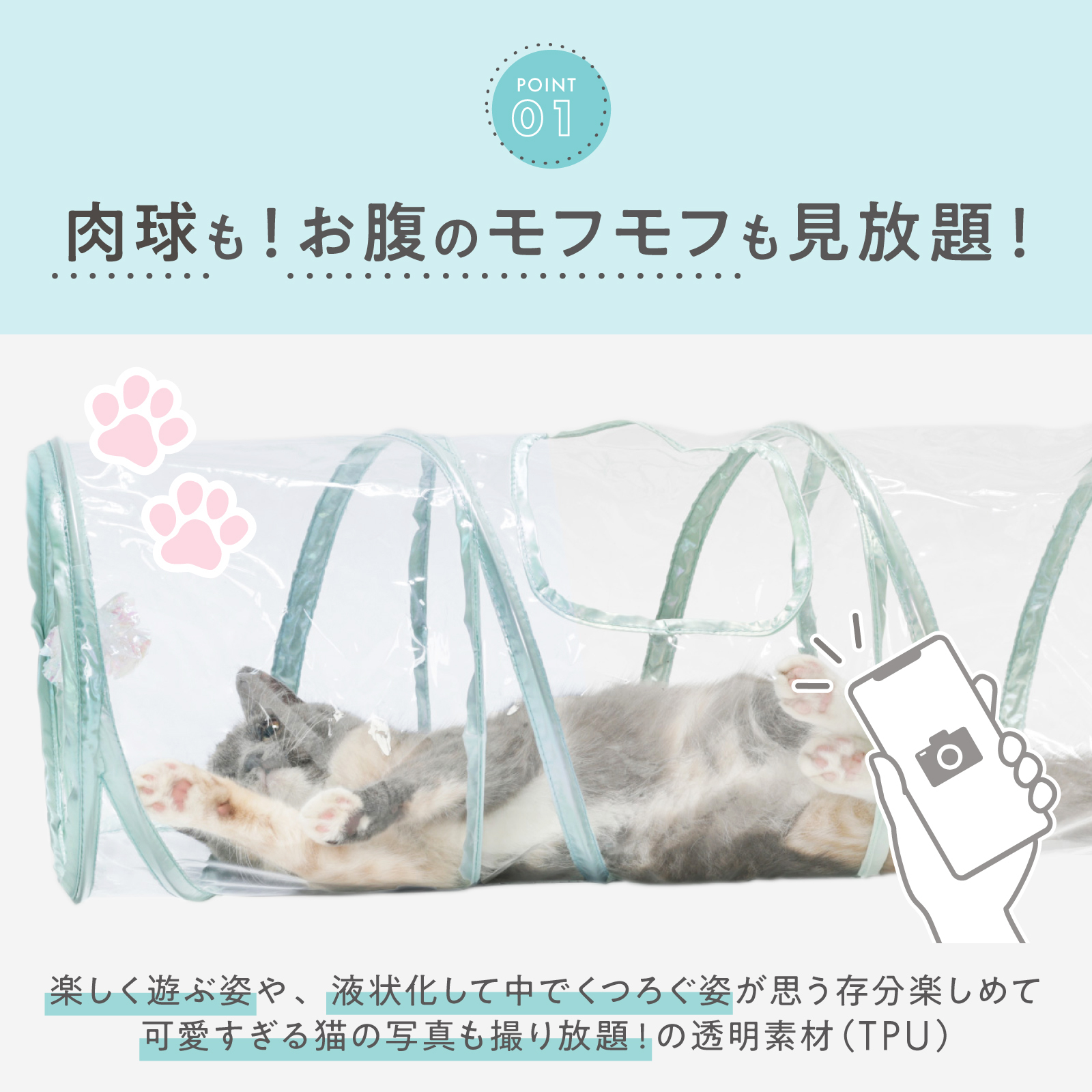 ＜猫壱＞猫用おもちゃ　キャットトンネル　クリア