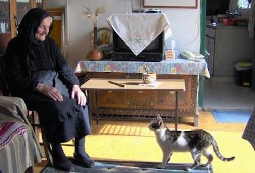 ちょっと悲しい 猫が 魔法使いの弟子 と呼ばれる様になった理由とは 猫壱 Necoichi