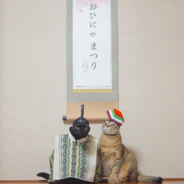 わさびちゃんの家が に 猫壱 Necoichi わさびちゃんの家が に 猫壱 Necoichi