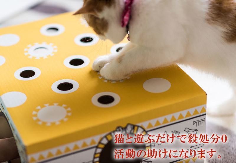 これ欲しい 猫のリアル貯金箱 手作りから笑えるモノまでご紹介します 猫壱 Necoichi