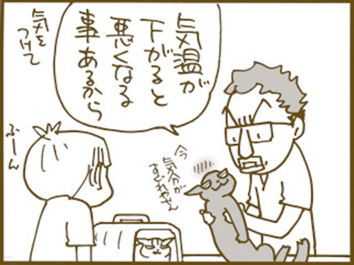 猫医者に訊け の鈴木真先生に聞いた猫についての面白い習性とは 猫壱 Necoichi