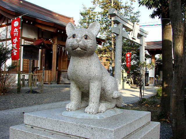 有名人が語る 私は猫のココが好き 思わず納得してしまう猫の名言集 猫壱 Necoichi
