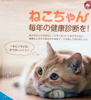 ペットの老後に不安がある飼い主81.1% 「猫の家計簿」つけていますか？