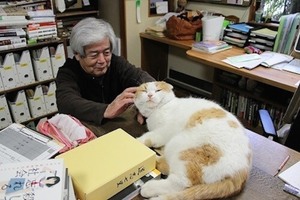 犬・猫・鳥はみんな○○○の上が好き！ペットが好む生活環境とは