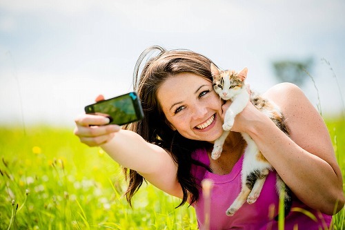 猫の寿命を伸ばす！飼い主が自宅で簡単にできる猫のヘルスチェック 