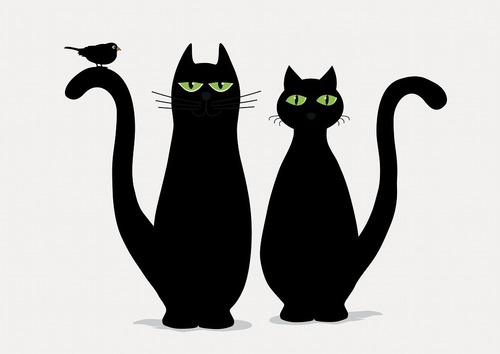 猫は人を選んでいるのかも？「猫に選ばれた人」のエピソード(Ф∀Ф)