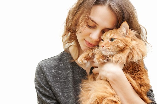 猫に愛される飼い主になりたい(=^x^=)猫と飼い主の5つの約束
