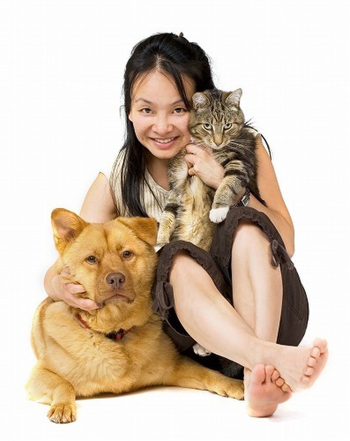 新しい家族が増える時 猫にストレスを感じさせない3つの対策法