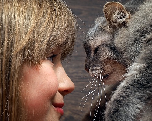 こうして欲しいニャ…。猫が飼い主に気持ちを伝えたい時にする3つの仕草