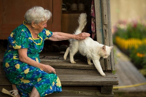 触らニャイで・猫の抱っこ嫌いを徹底解説！猫を安心させる方法とは