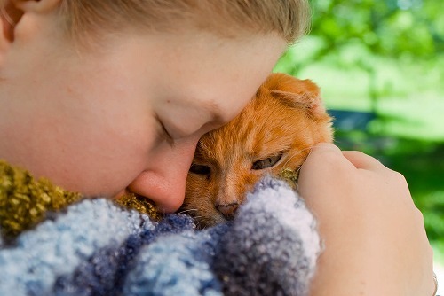 愛猫が死んでもう○年…。ペットロスから立ち直れない人へのアドバイス