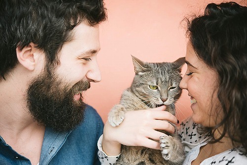 猫にモテたい！猫カフェさんに訊いた「猫にモテるお客さんはどんな人？」