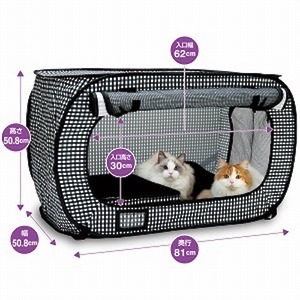 愛猫との同行避難・動物防災の3つの「R」を知っていますか？