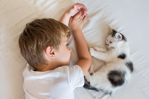 うちの子は完全室内飼い。避妊・去勢はしなくてもいいですか？