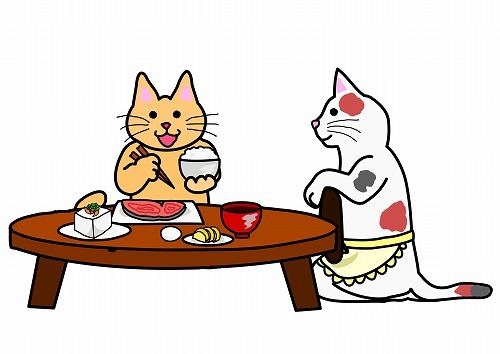 猫に煮干しを与えてはダメ？猫にあげてはいけない魚介類は結構多い