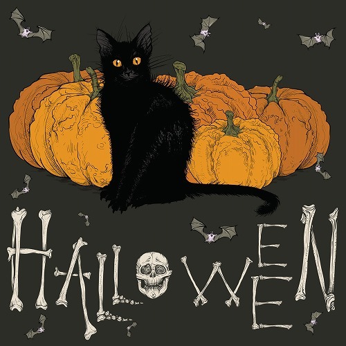 ハロウィンになぜ黒猫が関係するの？黒猫にまつわる不思議な話