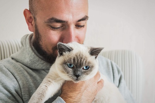 とことん尽くします！お世話熱心な「猫の下僕」がやりがちな3つの行動