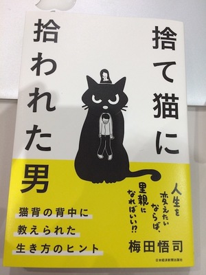 2017年・読んだ後にニャンとも心に沁みた猫の本はこの3冊！