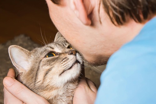 なぜ近づくと怒るの…。（泣）あなたが猫に嫌われる意外な理由とは