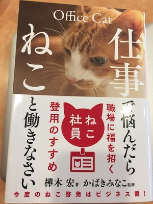 もしも会社に猫がいたら？「オフィス キャット」が必要とされる3つの理由