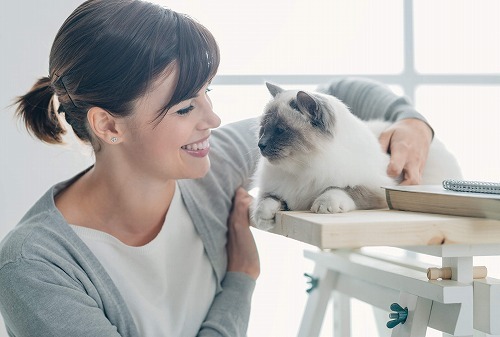 うちの猫はコレで抱っこ好きになりました！猫が喜ぶたった2つの方法