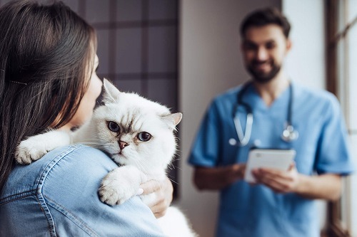 猫の脱走や花粉症、これから春先に起こりやすい猫のトラブル対策とは