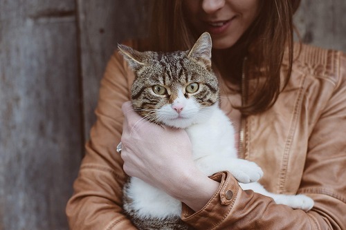 やっぱり猫は男性より女性の方が好き！中でもこんな女性が好きらしい♪