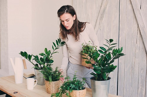 猫に植物は危険。でも大丈夫！お花や植物をガードするアイディアを大公開