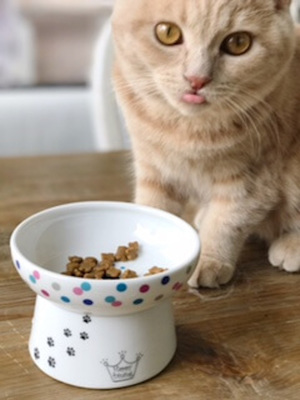 実は気になる愛猫の「食べ方の癖」・猫の理想的なご飯の食べ方とは