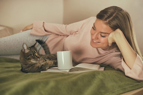 よく鳴く猫 と 鳴かない猫 がいる3つの秘密 猫壱 Necoichi