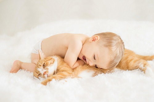 子供が○歳になるまで猫は子供を猫可愛がりする！？猫と子供の不思議な関係