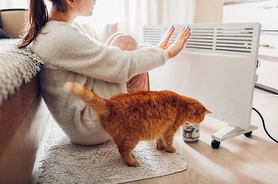 猫は本当に寒がり？猫が快適に冬を過ごす方法