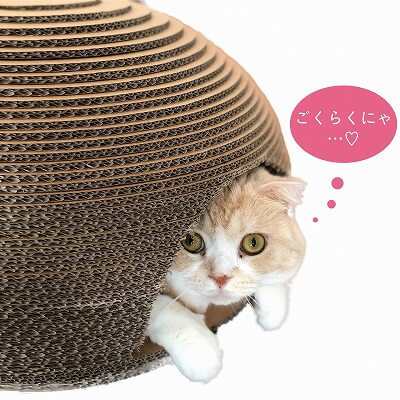 Amazoncm登場商品 猫のくら私の隠れ家 Amazon専売 猫壱 Necoichi Amazoncm登場商品 猫のくら私の隠れ家 Amazon専売 猫壱 Necoichi