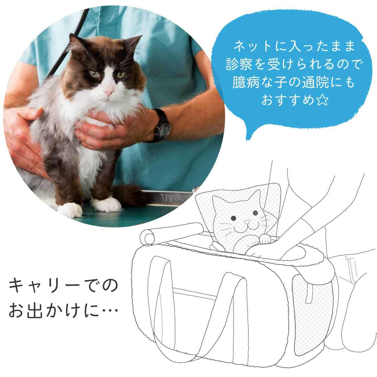 おちつくネット猫は袋の中に入ると落ち着きます | 猫壱（necoichi）