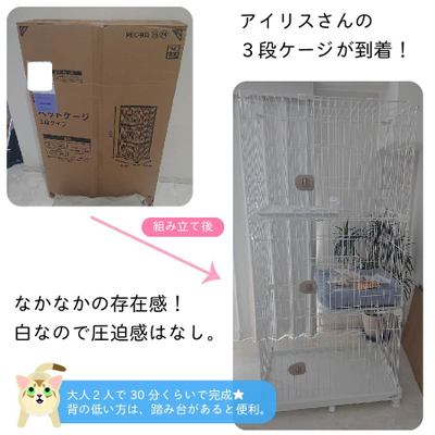 猫壱社員、初めての「幸せ猫ぐらし」お迎え準備編①