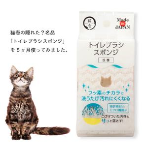 隠れた(?)名品「トイレブラシスポンジ」を使い倒してみた