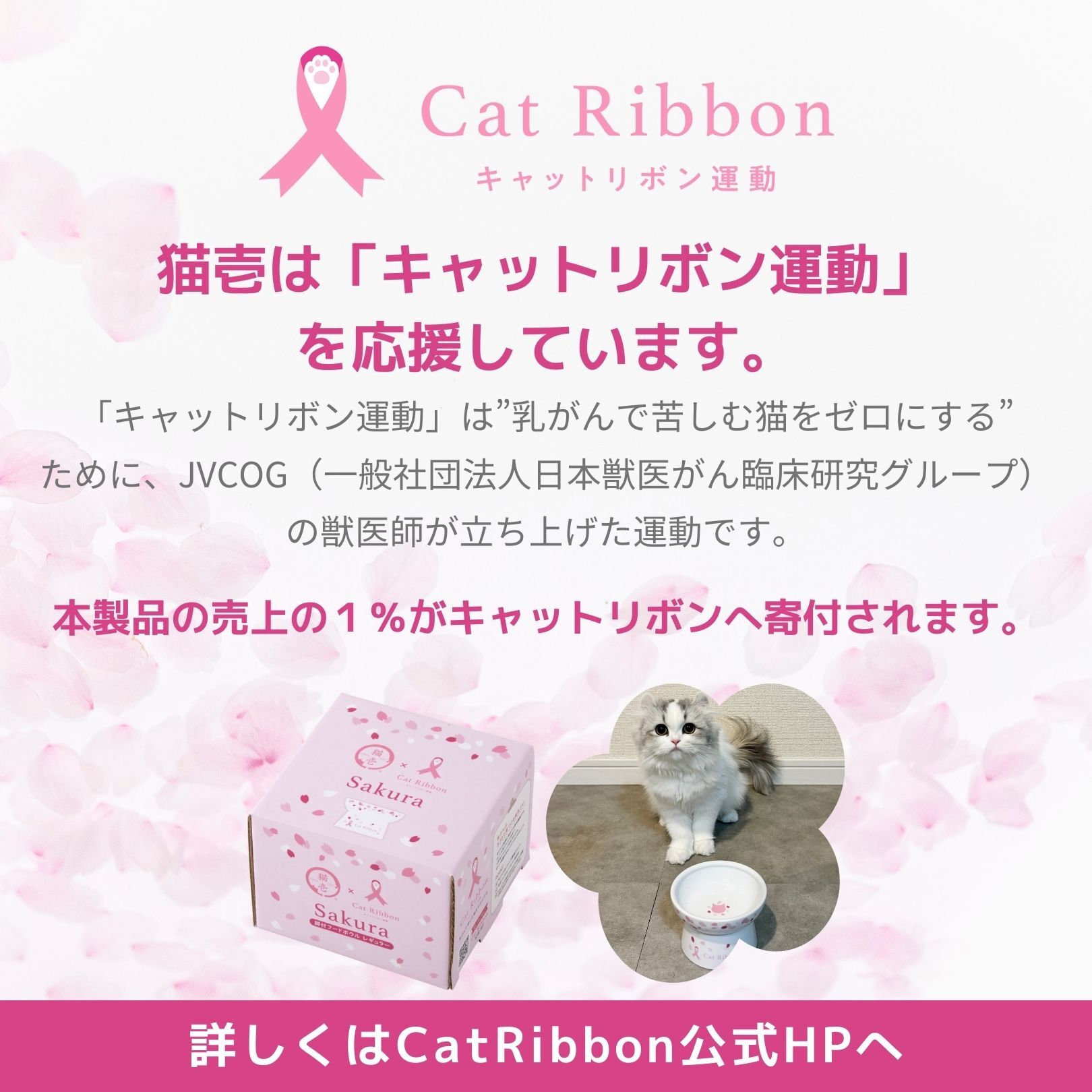 猫用 脚付フードボウル レギュラー Sakura Cat Ribbon 2024数量限定