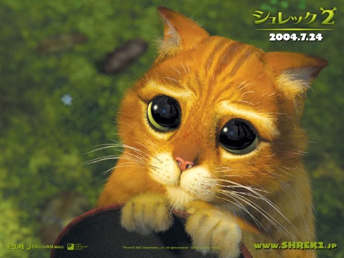 シュレック シリーズの長靴を履いた猫 猫壱 Necoichi