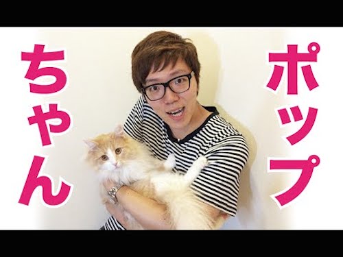 これは本物だ 猫を本気で愛している芸能人男性の名言3選 猫壱 Necoichi これは本物だ 猫を本気で愛している芸能人男性の名言3選 猫壱 Necoichi
