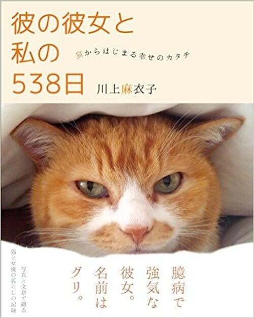 「彼の彼女と私の538日」という愛猫グリとの暮らしを綴ったネコエッセイ｜猫壱（ねこいち・ネコイチ）