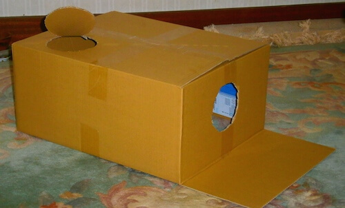 クロネコヤマトの ニャン箱 キャンペーンに応募してみよう 猫壱 Necoichi