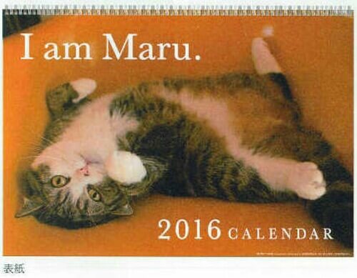 貴方はどれにする 猫グッズの定番 16年度猫カレンダーオススメ6選 猫壱 Necoichi