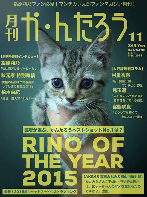 Hkt48指原莉乃 さっしーの愛猫が気に入っているグッズはコレ 猫壱 Necoichi