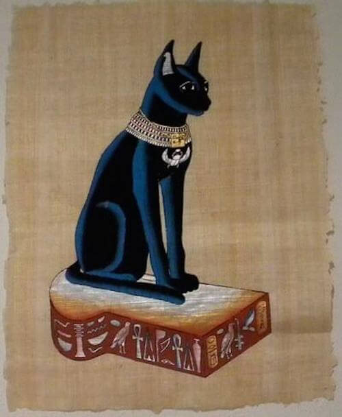 飼うなら黒猫がオススメ 日本人と猫の歴史を探ってみた 猫壱 Necoichi