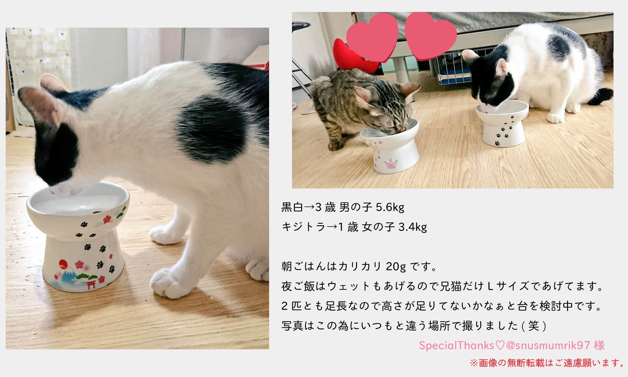 うちの子にぴったりなハッピーダイニングは 猫壱 Necoichi